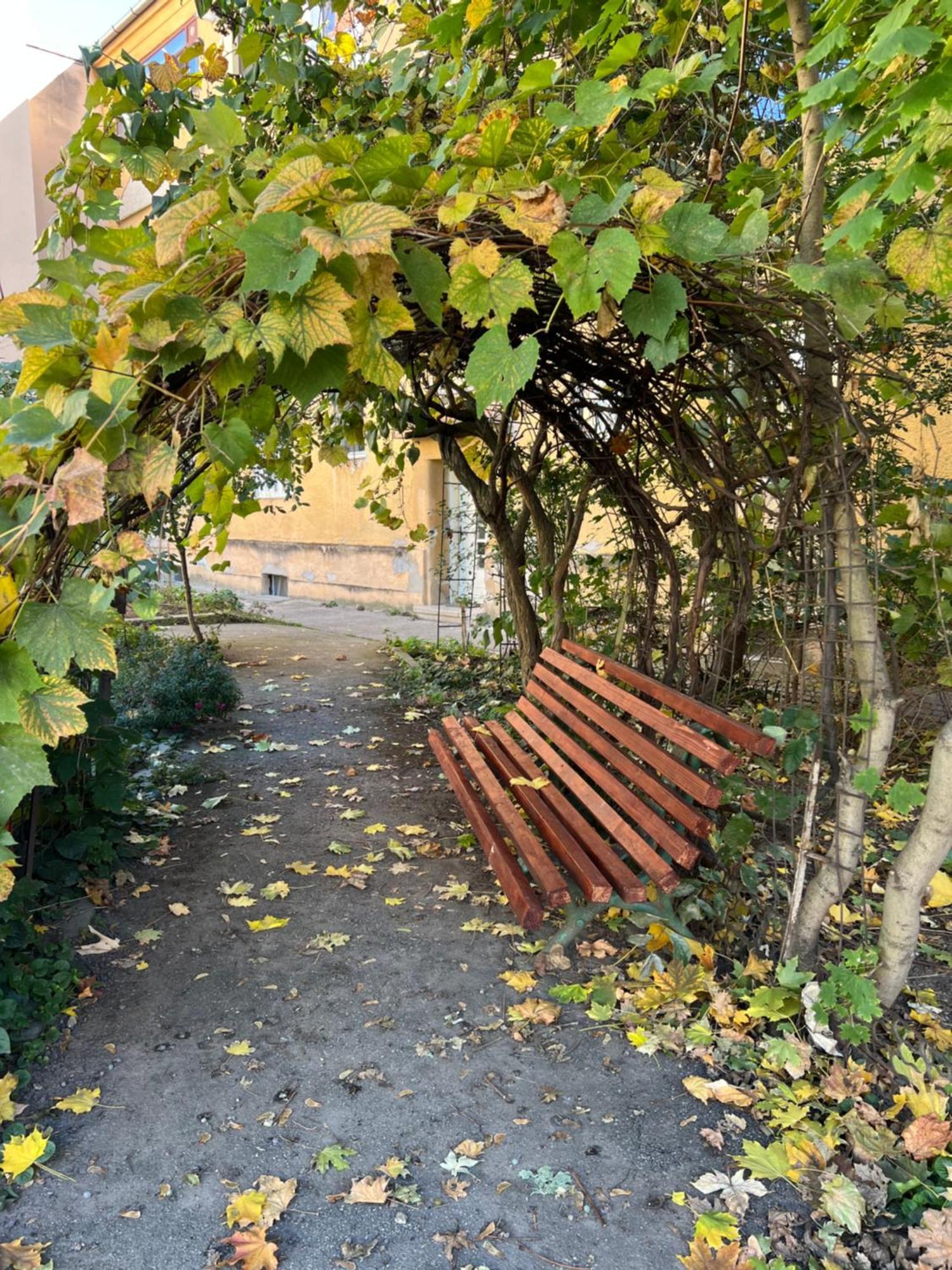 Studio Anca-Old Town Sibiu Exterior photo